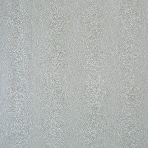 AO16001