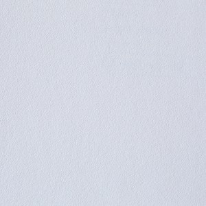 IP69021